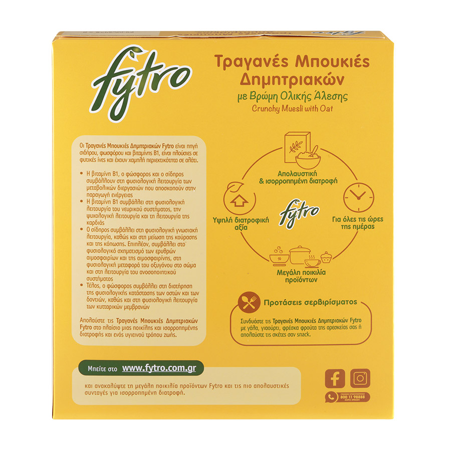 Fytro Τραγανές Μπουκιές Δημητριακών Με Βρώμη 375γρ.