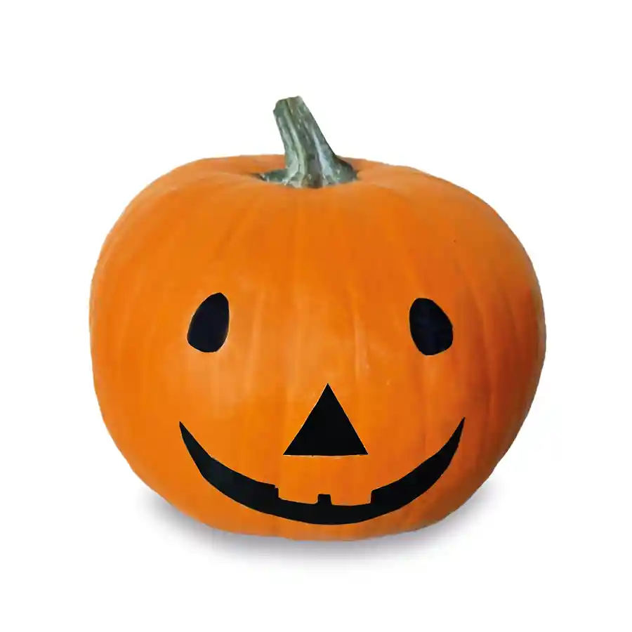 Κολοκύθα Halloween Ελληνική Α΄ Ποιότητα