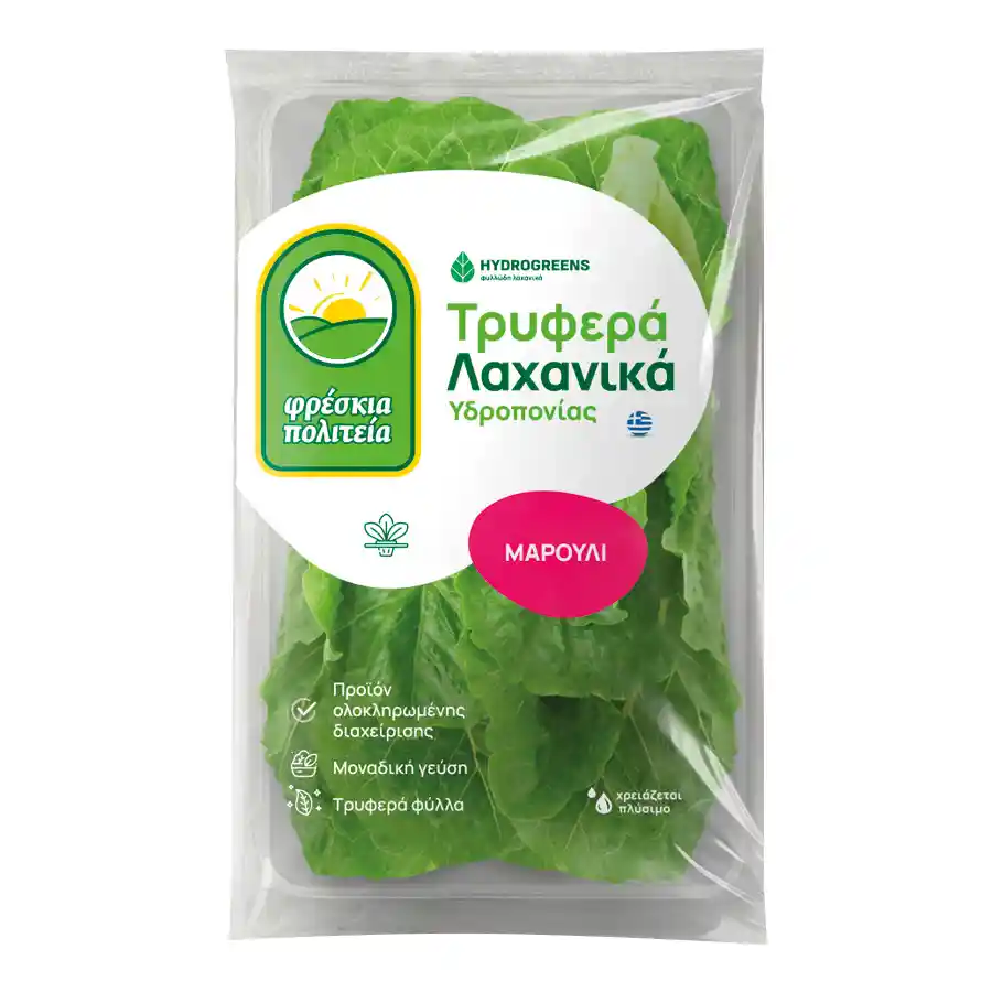 Φρέσκια Πολιτεία Μαρούλι Ίσιο Υδροπονίας Ελληνικό Α΄ Ποιότητα 2τεμ. 
