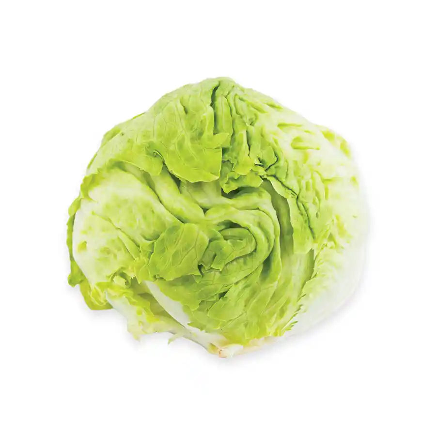 Μαρούλι Iceberg Ελληνικό Α΄ Ποιότητα 